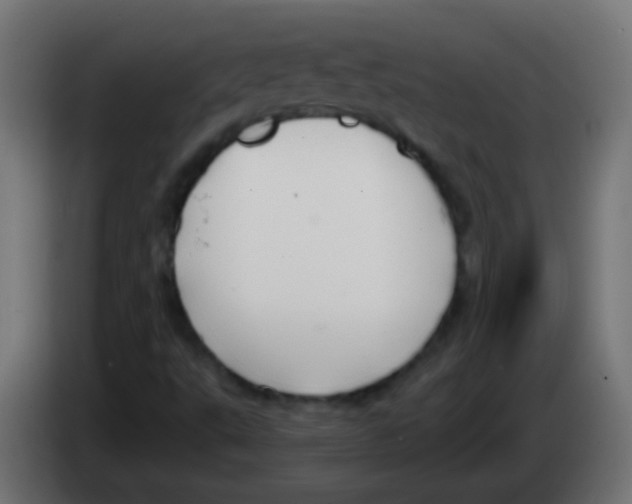 X0000083051495200703022059