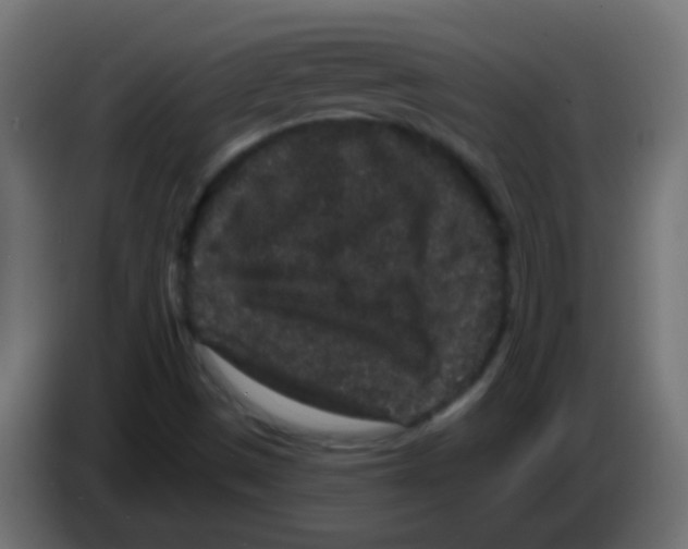 X0000083051497200703022059