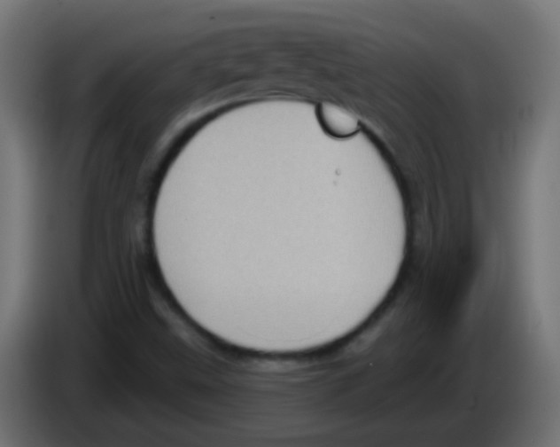 X0000083051499200703022059