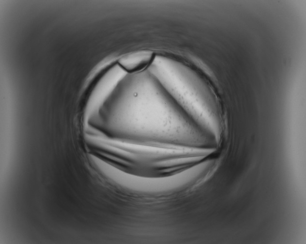 X0000083051501200703022059