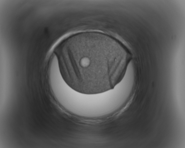 X0000083051502200703022059