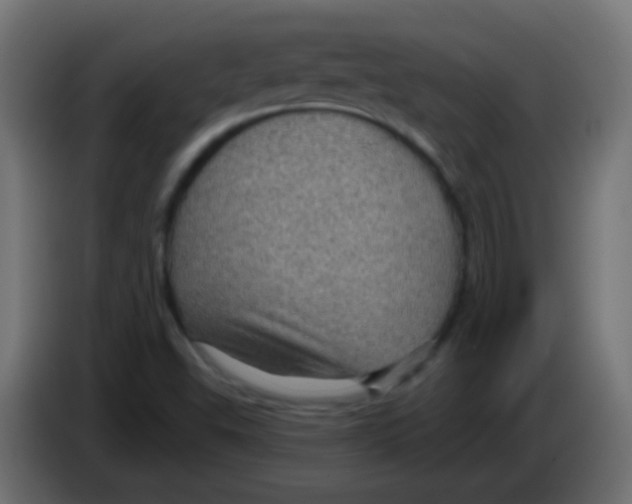 X0000083051503200703022059