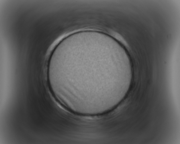 X0000083051504200703022059