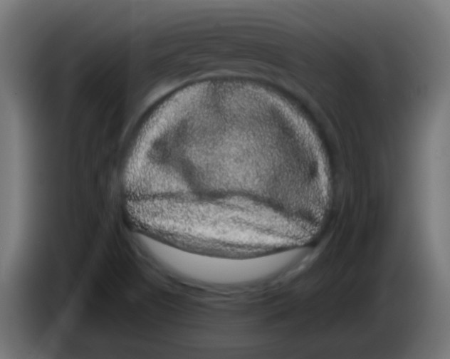 X0000083051505200703022059