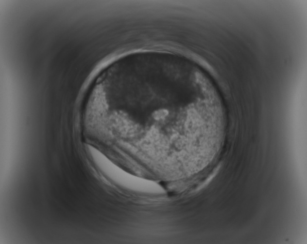 X0000083051506200703022059