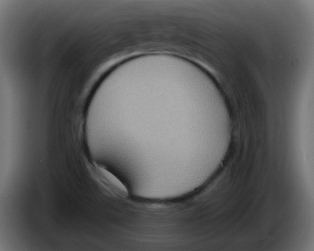 X0000083051507200703022059