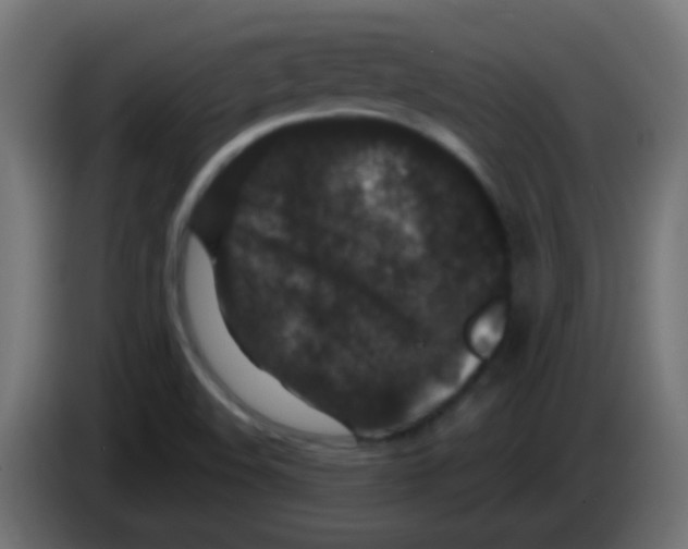 X0000083051508200703022059