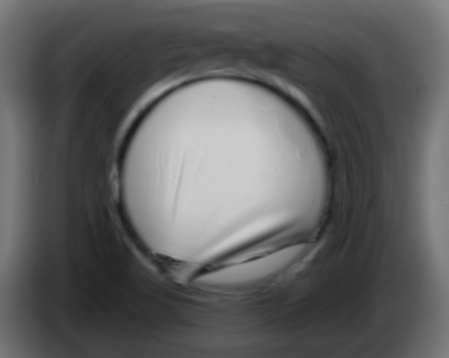 X0000083051509200703022059