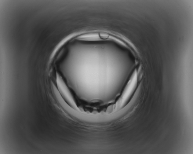 X0000083051510200703022059