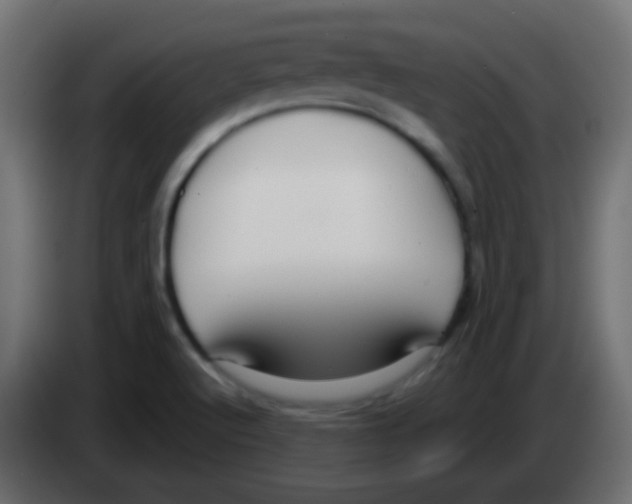 X0000083051512200703022059