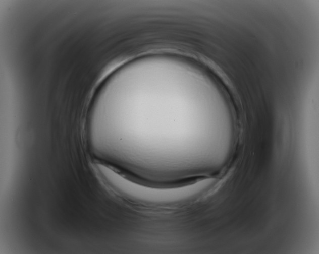 X0000083051513200703022059