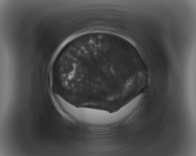 X0000083051515200703022059