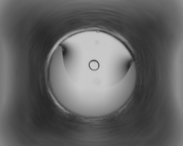 X0000083051516200703022059