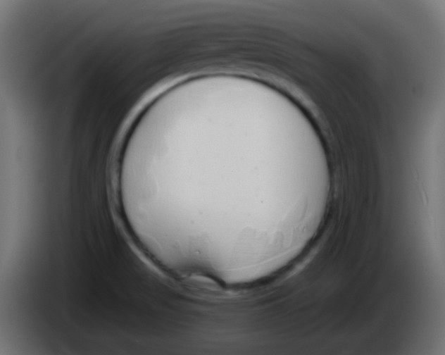 X0000083051517200703022059