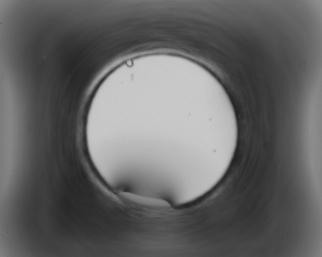 X0000083051518200703022059