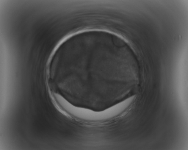 X0000083051519200703022059