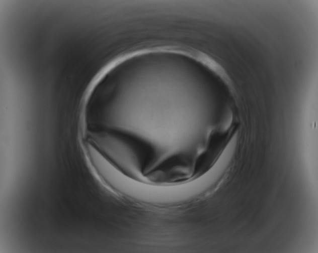 X0000083051520200703022059