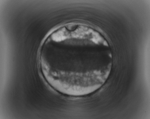 X0000083051522200703022059