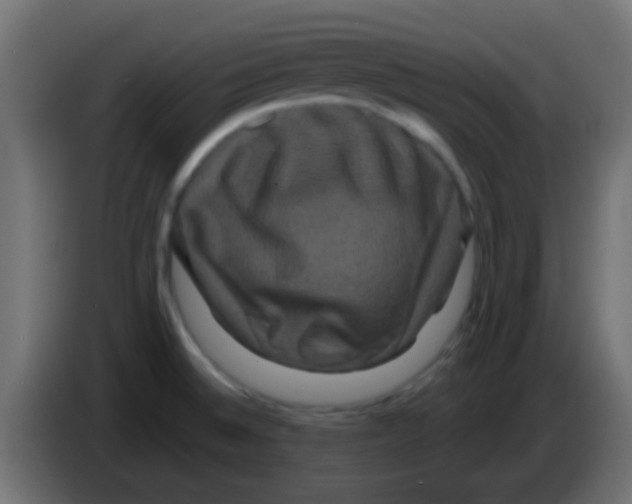 X0000083051524200703022059