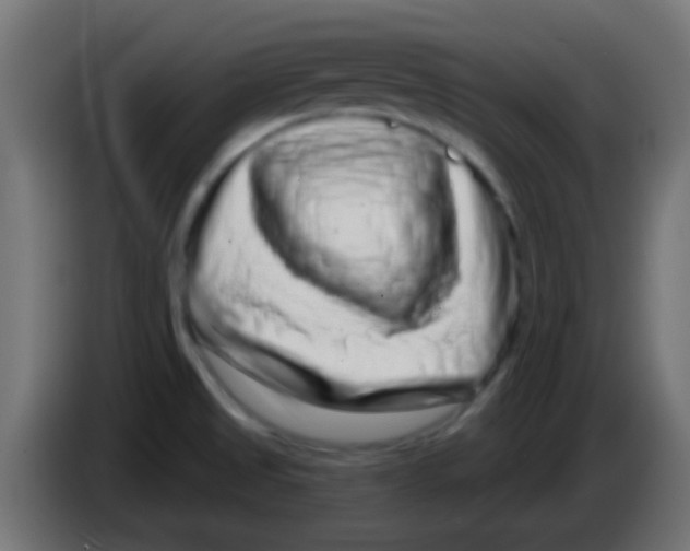 X0000083051525200703022059