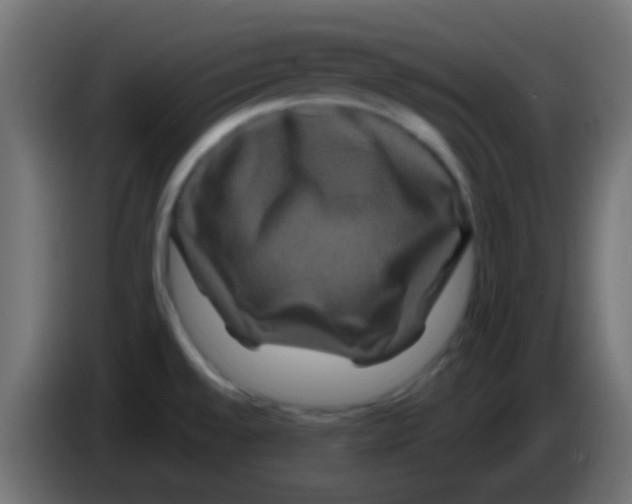 X0000083051528200703022059