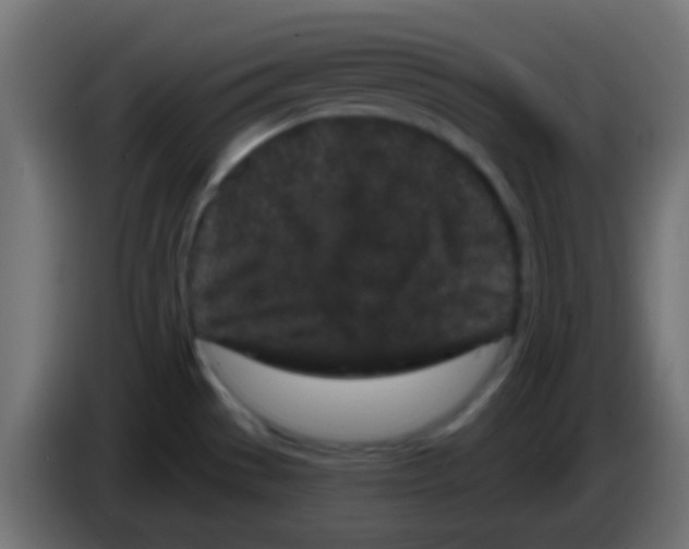 X0000083051529200703022059