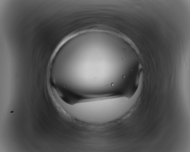 X0000083051530200703022059