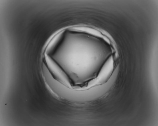 X0000083051532200703022059