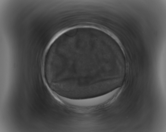 X0000083051533200703022059