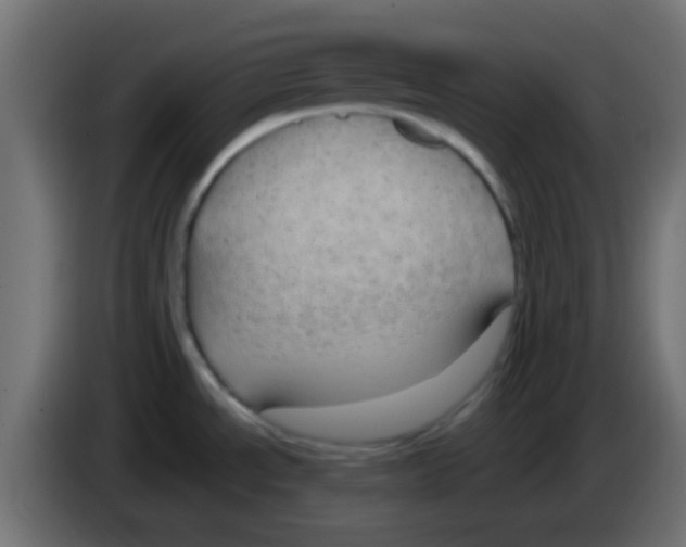 X0000083051534200703022059