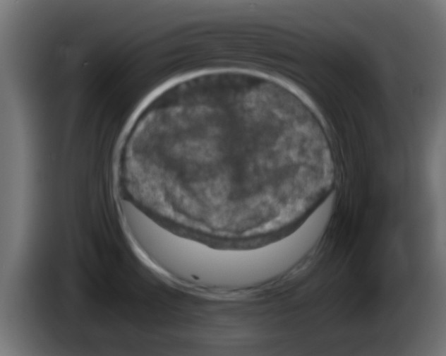 X0000083051535200703022059