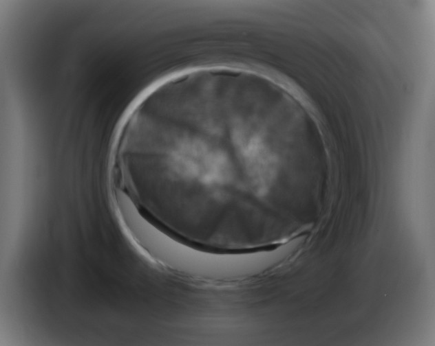 X0000083051536200703022059