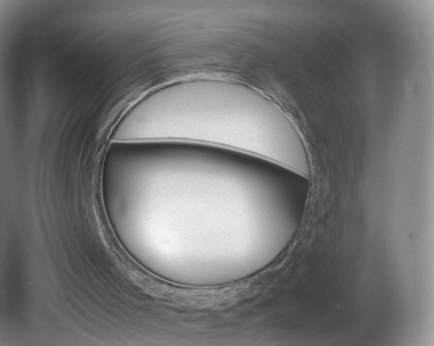 X0000083060001200702021048