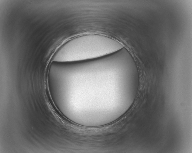 X0000083060002200702021048