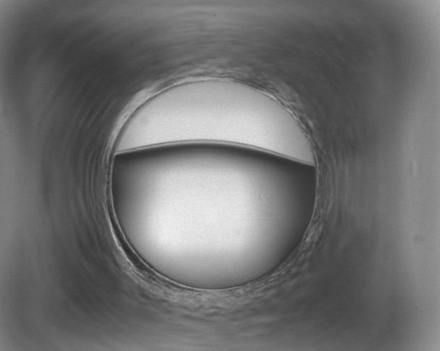 X0000083060003200702021048