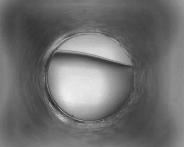 X0000083060005200702021048