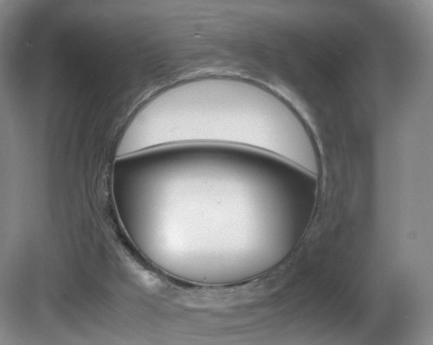 X0000083060009200702021048