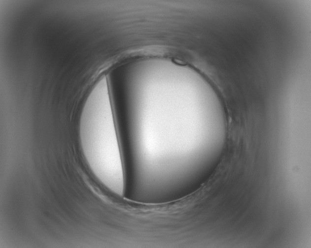 X0000083060013200702021048