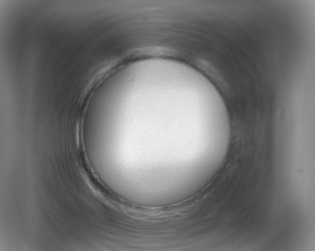 X0000083060014200702021048