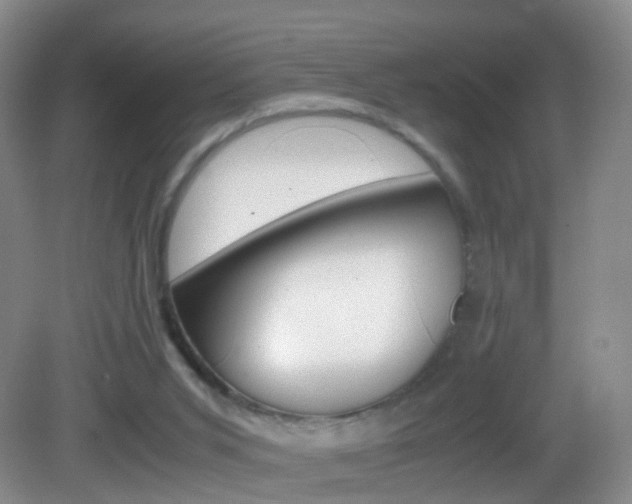 X0000083060015200702021048