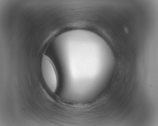 X0000083060020200702021047