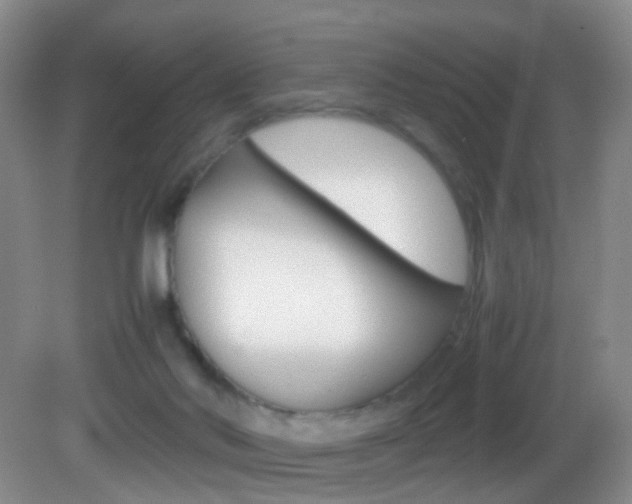 X0000083060022200702021047