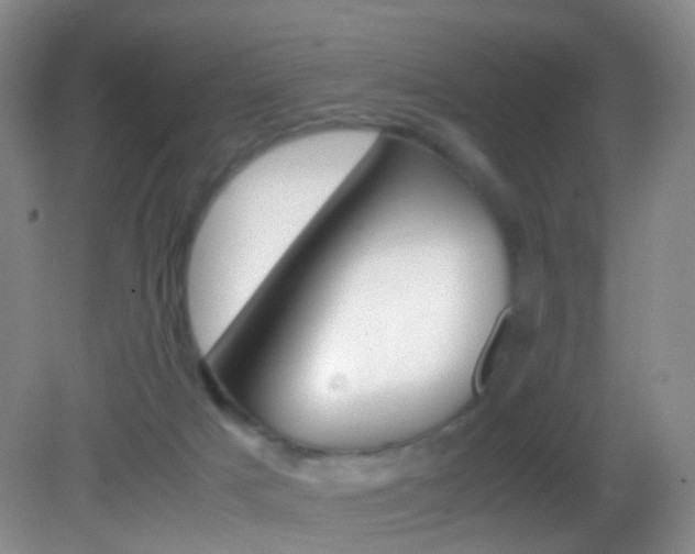 X0000083060025200702021047