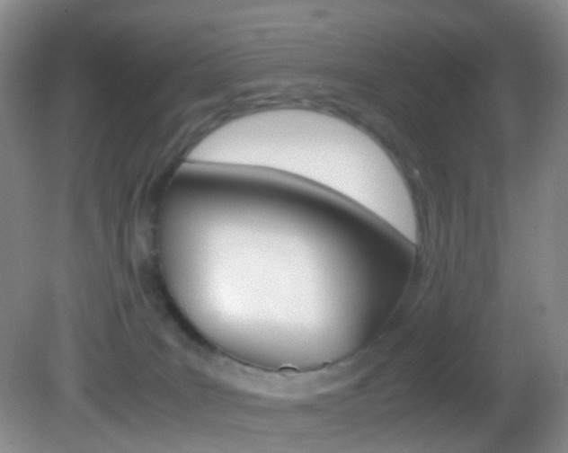X0000083060035200702021047