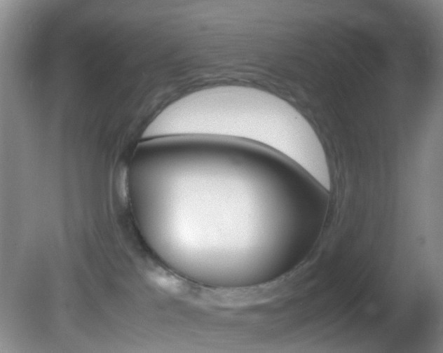 X0000083060041200702021047