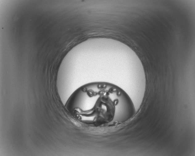 X0000083060045200702021047