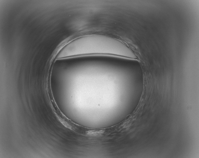 X0000083060051200702021046