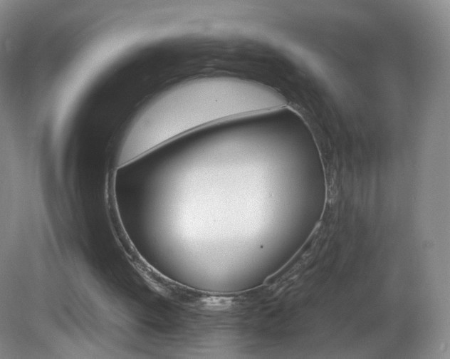 X0000083060052200702021046