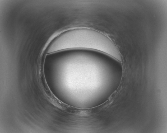 X0000083060056200702021046