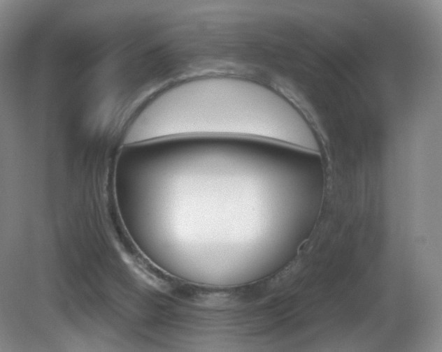 X0000083060058200702021046